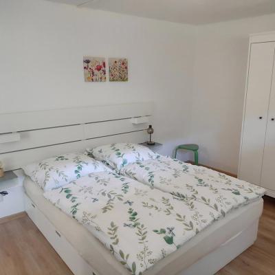Henriette 6